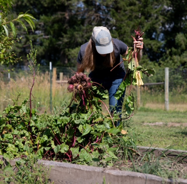 Elizabeth Nelson in her Montana garden